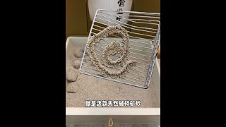 平时不舍买矿砂的铲屎官，这款猫砂可以试试#猫砂 #猫砂推荐 #萌宠好物