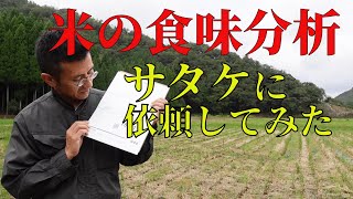 【まずい？うまい？】米の食味検査。サタケの食味鑑定団に送ってみた。装置で判定する米の食味。