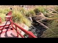 chile. ep 3. the most famous hot springs in the atacama desert. purilibre and puritama. truly oasis