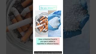 Cigarettes - Chemical Urea | Interesting Fact - 106