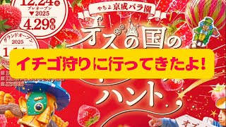 [体験記]京成バラ園イチゴ狩り