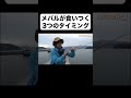 この原理が分かれば100%釣れます。