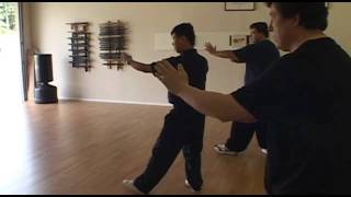 Yang Family Tai Chi practice knee brushes