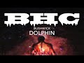 Dolphin (Prod. By K. English Unlocked)