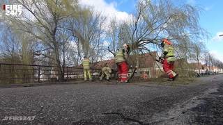 PRIO 2 - STORMSCHADE - BOOM OVER WEG - BRANDWEER - UITRUK