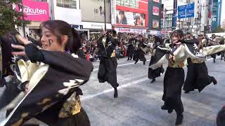 東京よさこい2024・前日祭 ～ おどりんちゅ～再雷～