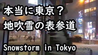 【本当に東京？】地吹雪の表参道（2014年2月8日）　Snowstorm in Tokyo