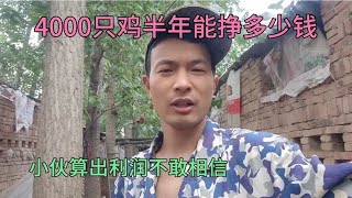 养鸡挣钱吗？4000只鸡养半年能挣多少钱？小伙算完利润不敢相信