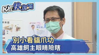 別小看貓爪功 高雄飼主眼睛險瞎－民視新聞