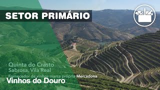 Vinhos do Douro: um sabor com história