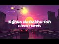 Tujhko Na Dekhu Toh Jee Ghabrata Hai - Slowed & Reverb | Jaanwar | Udit Narayan | Sunidhi Chauhan