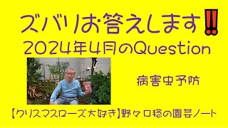 ズバリお答えします‼️ 2024年4月の Question