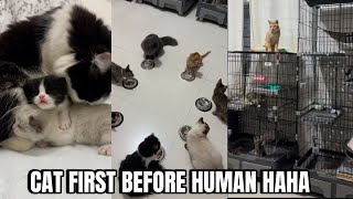 MGA BAGAY NA NEED I PREPARE SA PANGANGANAK NG PUSA | momarenyann