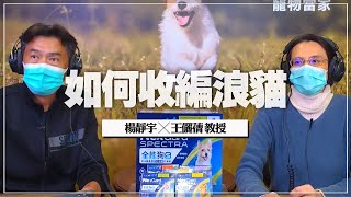 '22.02.07【全能狗S 寵物當家】王儷蒨教授談「如何收編浪貓」