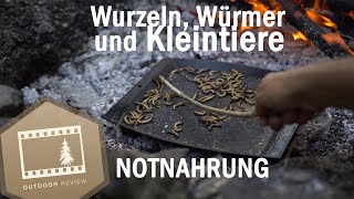 Nahrung aus der Natur / Notnahrung | Outdoor Guide / Wildnisführer Ausbildung | Outdoor Review