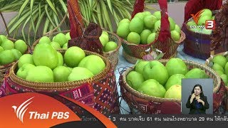 ตะลุยทั่วไทย : ปลูกพุทรานมสด (3 เม.ย. 61)