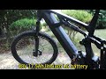 leili carbon mtb ebike 48v 1000w