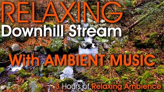 3 Hour Relaxing Overhead View of Beautiful Downhill Stream with Soothing Sounds of Water and Music