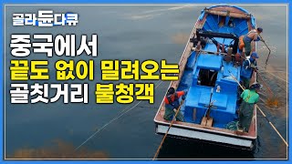 제주 바다를 오염시키는 중국발 불청객의 정체|어쩌다 청정해역 제주가 이렇게 되었을까?|다큐프라임|#골라듄다큐