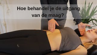 Maagpijn verhelpen door Osteopathie: Wat kan een osteopaat van OsteoDirect voor jou betekenen?