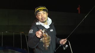 東京湾の春を楽しむ！ルアーでメバル釣り～FISHING DOOR ～