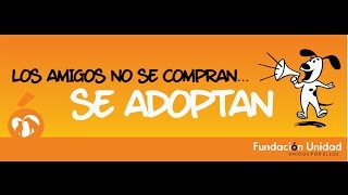 Primer EcoPaseo - Fundación Unidad Animal