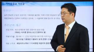 법인의 가지급금과 가수금의 문제점 및 해결방안