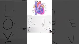 Human heart diagram drawing class 10 Science #cbse #class10 #biology #ncert