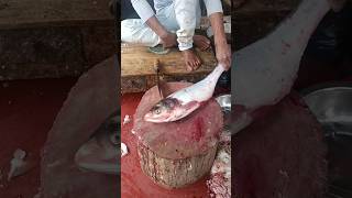 Amazing Brigade Fish Cutting Skills In Fish Market #shorts #shorts