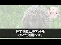 【感動する話】突然、家に警察が来て「窃盗の疑いで息子さんを逮捕する！」私「うちの息子は寝たきりですが…」→息子の姿を見た警察は…【いい話・朗読・泣ける話】