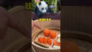 徐姥爷：小白天你的窝窝头呢？小白天：不知道啊，没看见啊 #大熊猫小白天