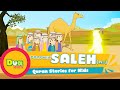 Prophet Stories In English | Prophet Saleh (AS) Story | Stories Of The Prophets | Quran Stories
