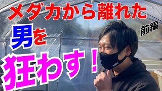 改良メダカ愛好家宅突撃！鳥取県米子市編/林君がビニールハウスを建てたので突撃してみた！