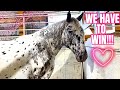 I’M BIDDING ON THIS APPY CROSS & GIVING MY ALL! This Was INTENSE 
