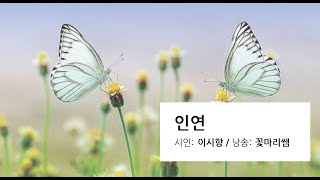 시낭송asmr) 인연_이시향 / 인연은 우연히 찾아오는 것이아니랍니다