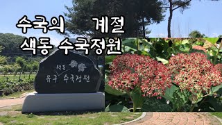 공주 유구 색동 수국정원