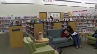 Summer Library Programs