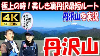 【ハイキング】極上の時！美しき裏丹沢最短ルート「丹沢山」を登山実況