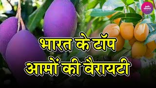 Top Best Mango Varieties in India | भारत में आमों की टॉप वैरायटी  | Talk About  Top