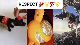 Respect video 🥶😱🥶 | like a boss compilation 💯🌟💯 | amazing people💨💨💨