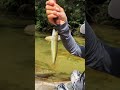 昆嵛山深处探索一下烟台的溪流钓！ 钓鱼 fishing fish 钓鱼的乐趣只有钓鱼人懂 钓鱼人就是这么疯狂 女钓手 钓鱼人 fishinglife funny foryou