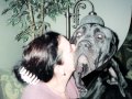 Tribute to our First Neapolitan Mastiff BOB