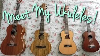 Meet My Ukuleles (Comparison of Soprano, Concert, Tenor, and Baritone)