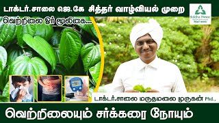 வெற்றிலையும் சர்க்கரை நோயும் | Dr.Salai Maruthamalai Murugan | Siddha Way Of Life | Dr.Salai jk