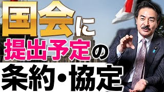 外交部会にて国会に提出予定の条約・協定について！