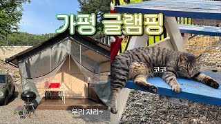 글램핑vlog | 가평 캡틴카라반글램핑⛺️, 바베큐와 고양이와 불멍, 와인 잘 따는 법 아시는 분...🤦‍♂️, 구름산카페