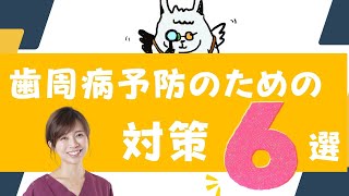 ペットの歯周病予防のための対策６選