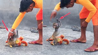 बाबू को हाथ लगाया तो बाबू का Angry Reaction | Must Watch How Babu Enjoying With Us | Babu Gillu Vlog