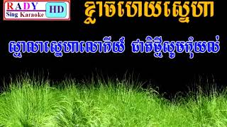 ខ្លាចហើយស្នេហា កែវ សារ៉ាត់ ភ្លេងអកកាដង់ ភ្លេងសុទ្ធ RADY SING KARAOKE   YouTube