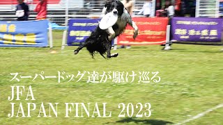 犬と人のチーム戦に懸けるペア部門第２位【フリスビードッグ日本一決定戦】